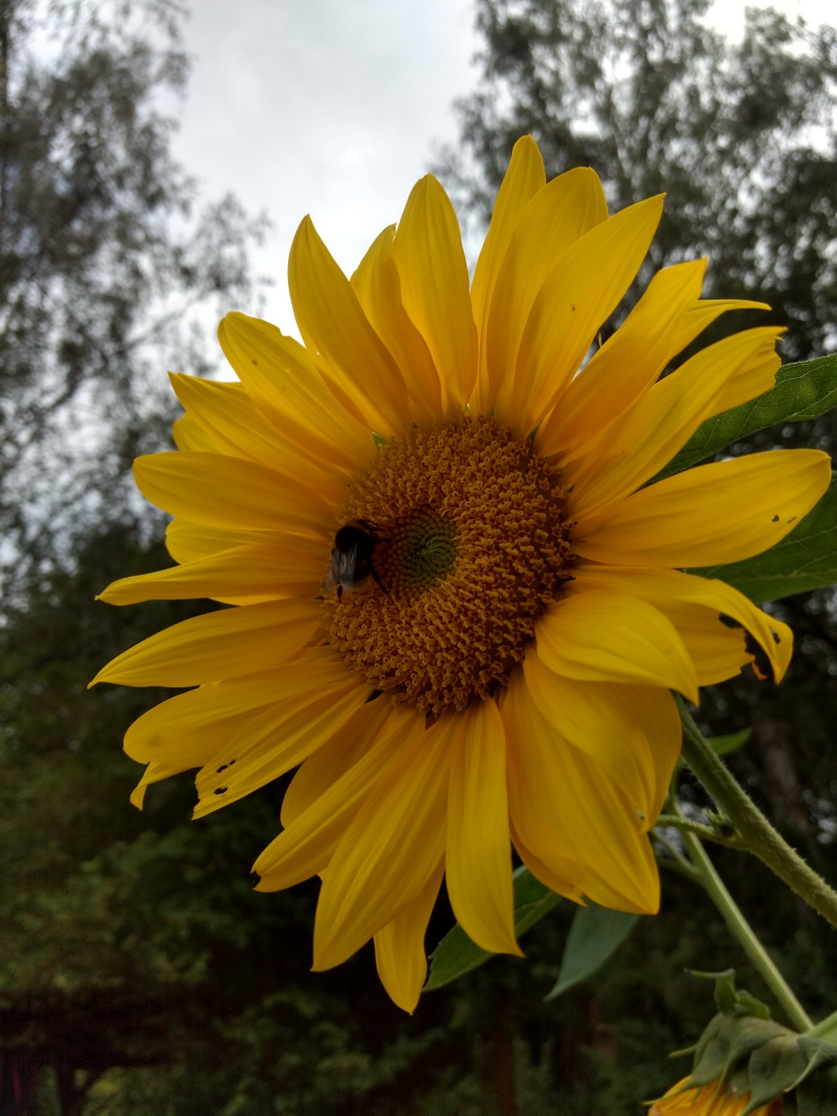 Dummy-Bild für Sonderarbeiten 1