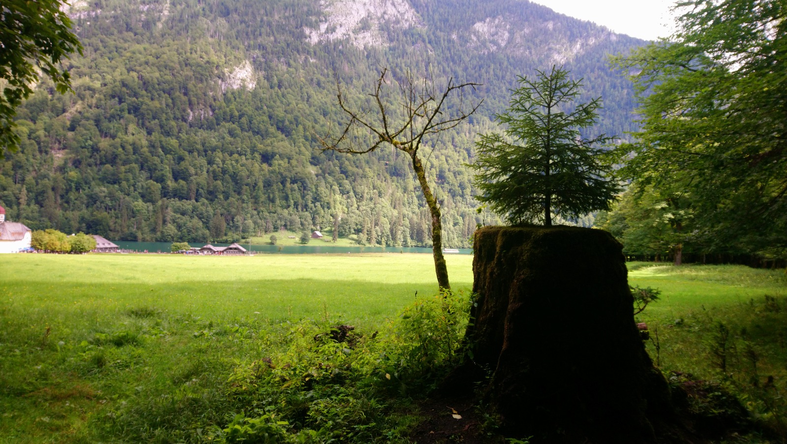 Dummy-Bild für Sonderarbeiten 2