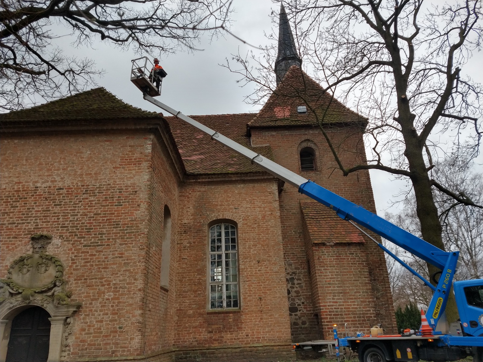 Tom Schluckebier bei Arbeiten im Baum