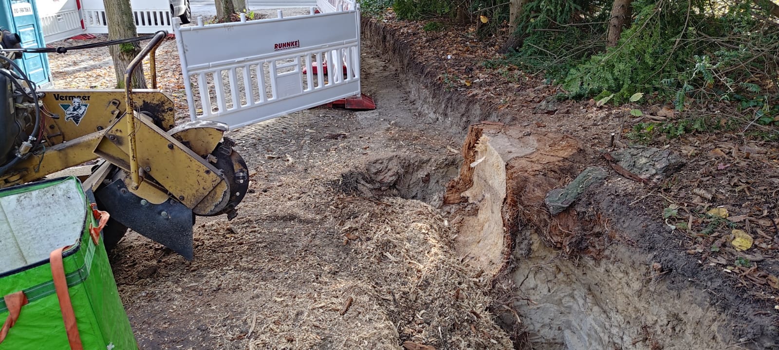 Stubbenfräsen nach Baumfällung Bild 2