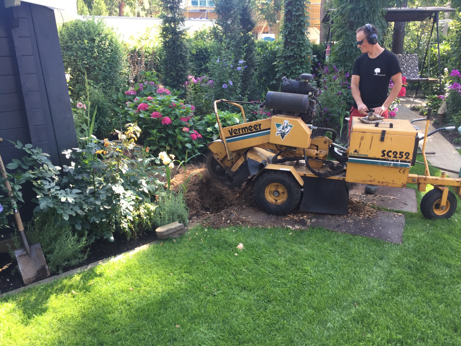 Stubbenfräsen nach Baumfällung Bild 3