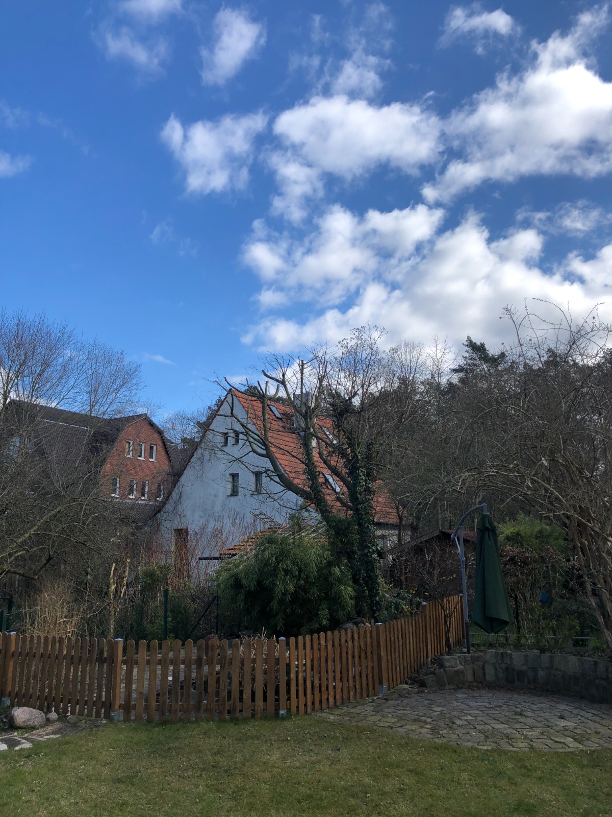 Kronenschnitt nachher Bild 2