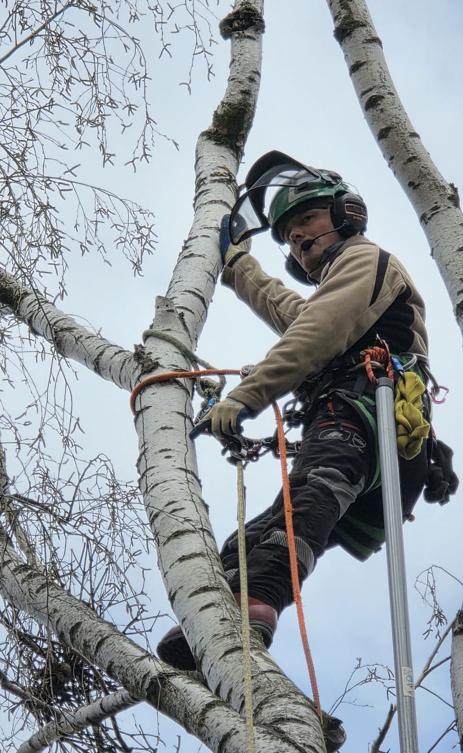 Sonderarbeiten in der Höhe durch TS Baumpflege